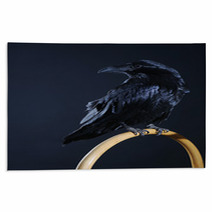 Black Raven Rugs 73199938