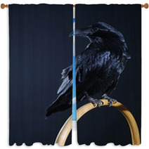 Black Raven Window Curtains 73199938