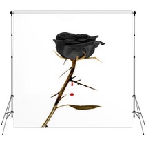Black Rose Backdrops 13933924
