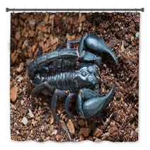 Black Scorpion On The Ground Bath Decor 83513977