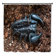 Black Scorpion On The Ground Bath Decor 83514178