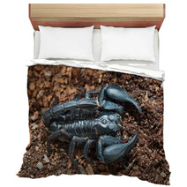 Black Scorpion On The Ground Bedding 83513977