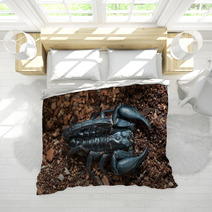 Black Scorpion On The Ground Bedding 83514178