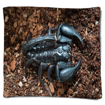 Black Scorpion On The Ground Blankets 83514178