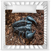 Black Scorpion On The Ground Nursery Decor 83513977