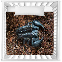 Black Scorpion On The Ground Nursery Decor 83514178