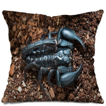 Black Scorpion On The Ground Pillows 83514178