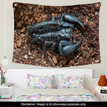 Black Scorpion On The Ground Wall Art 83513977