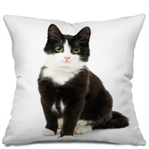 Black & White Cat Pillows 61710255