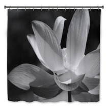 Black & White Water Lily Bath Decor 31597906