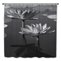 Black & White Water Lily Bath Decor 31604434