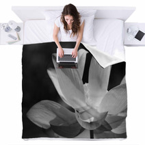 Black & White Water Lily Blankets 31597906