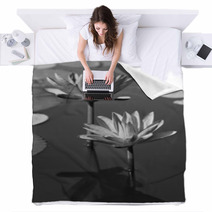 Black & White Water Lily Blankets 31604434