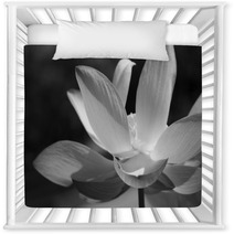 Black & White Water Lily Nursery Decor 31597906