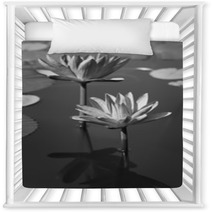 Black & White Water Lily Nursery Decor 31604434