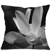 Black & White Water Lily Pillows 31597906