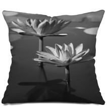 Black & White Water Lily Pillows 31604434