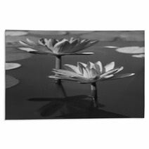 Black & White Water Lily Rugs 31604434