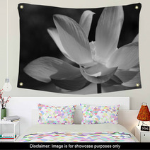 Black & White Water Lily Wall Art 31597906