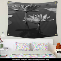 Black & White Water Lily Wall Art 31604434