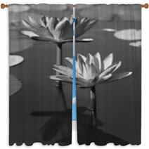 Black & White Water Lily Window Curtains 31604434