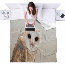 Owl Blankets 103314895