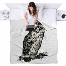 Owl Blankets 125298162