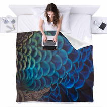 Peacock Blankets 166860729