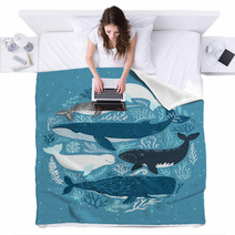 Whale Blankets 203637143