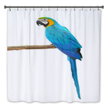 Blue And Gold Macaw Aviary Bath Decor 64273973