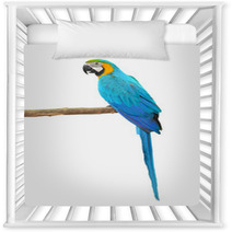 Blue And Gold Macaw Aviary Nursery Decor 64273973