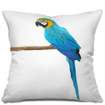 Blue And Gold Macaw Aviary Pillows 64273973