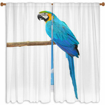 Blue And Gold Macaw Aviary Window Curtains 64273973