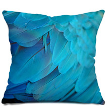 Blue And Gold Macaw Feathers Pillows 54524930