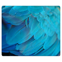 Blue And Gold Macaw Feathers Rugs 54524930