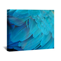 Blue And Gold Macaw Feathers Wall Art 54524930