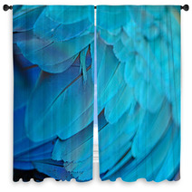 Blue And Gold Macaw Feathers Window Curtains 54524930