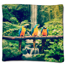Blue-and-Yellow Macaw Blankets 72652792