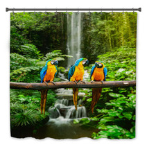 Blue and Yellow Macaw In A Rainforest Bath Decor 51933543