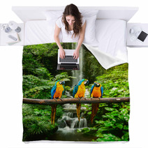 Blue and Yellow Macaw In A Rainforest Blankets 51933543