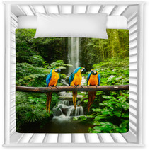 Blue and Yellow Macaw In A Rainforest Nursery Decor 51933543