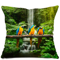 Blue and Yellow Macaw In A Rainforest Pillows 51933543