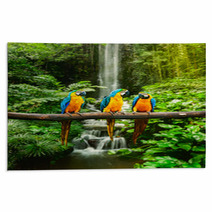 Blue and Yellow Macaw In A Rainforest Rugs 51933543