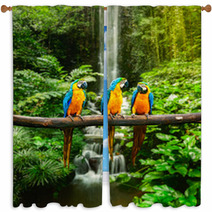 Blue and Yellow Macaw In A Rainforest Window Curtains 51933543