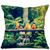 Blue-and-Yellow Macaw Pillows 72652792