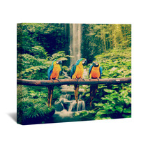 Blue-and-Yellow Macaw Wall Art 72652792