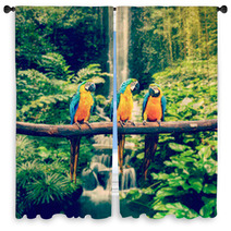 Blue-and-Yellow Macaw Window Curtains 72652792