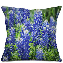 Blue Bonnets Pillows 40284281
