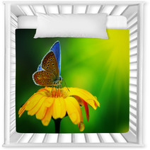Blue Butterfly Nursery Decor 41974833