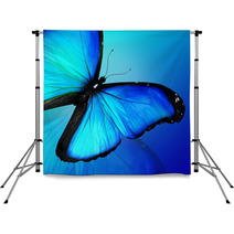 Blue Butterfly On Blue Background Backdrops 47013557